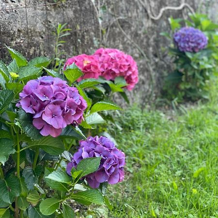 Quinta Das Ameixas - Country & Nature Арока Екстер'єр фото